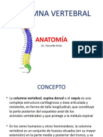 Columna Vertebral