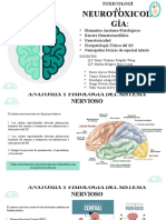 Neurotoxicología