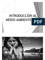 Introducción Al Medio Ambiente1