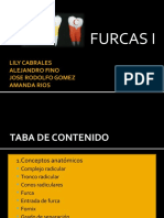 FURCAS LY (2)