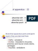 Branchial Apparatus