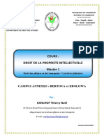 m1 Cours de Droit de La Propriete Intellectuelle Campus Ebolowa