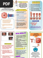 Download Leaflet Kanker Serviks by Irma Sari Fitriana SN59532001 doc pdf