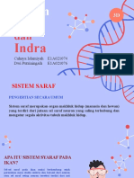 Sistem Saraf Dan Indera (1) - 1