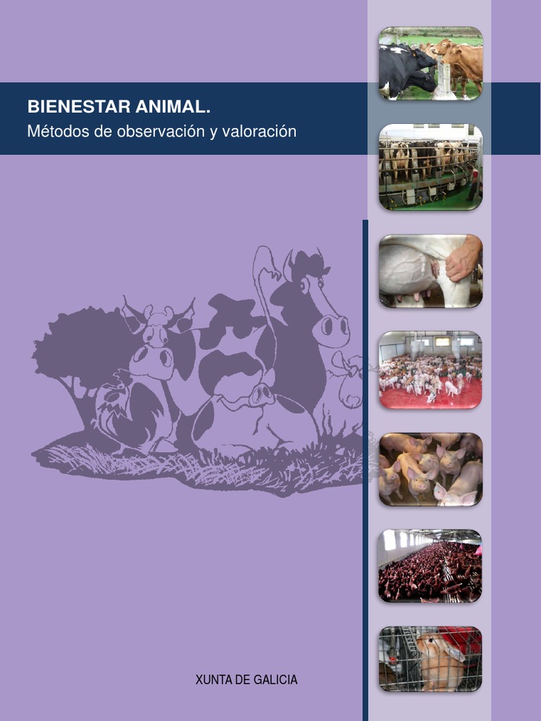 Bienestar Animal | PDF | Aves | Bienestar de los animales