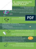 Niveles de Oragnización de La Materia y Los Sistemas Vivos.