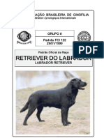 Retriever Labrador