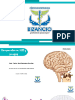 Clase 1 Neuroanatomia NTS y Sinapsis