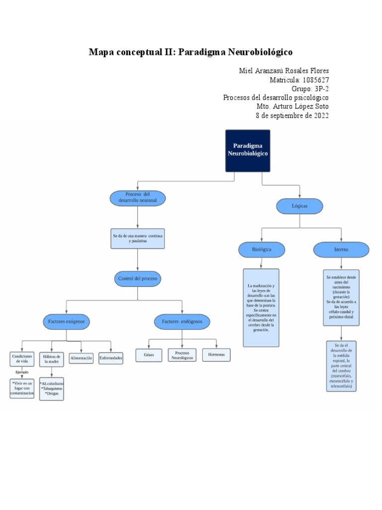 Mapa Conceptual: Paradigma Neurobiológico | PDF | Ciencias sociales ...
