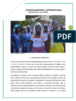 Monografia Personas Afrodescendientes y Afromexicanas 2020