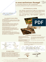 Cartel-Célula Eucariota Fungí
