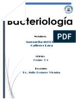 Historia de la microbiología desde sus orígenes hasta descubrimientos pioneros