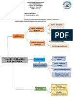 Tarea de Corazon - 1