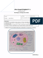 Trabajo Individual de Fisiopatologia General