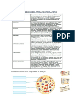 Ficha de Aplicacion Ciencia 17-08