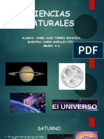 Ciencias Naturales Exxpo Said