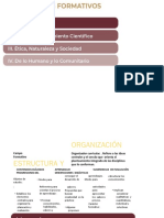 4. CAMPOS FORMATIVOS