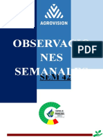 Observaciones Sanidad Vid - SEM 42