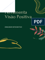 FERRAMENTA VISÃO POSITIVA