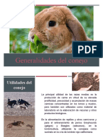 Generalidades Del Conejo