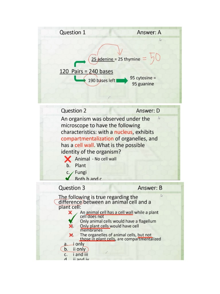 Review 5 - Biology Exercise | PDF