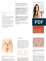 Prevención y diagnóstico temprano del cáncer vaginal