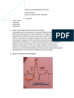 Anatomia y Funcionamiento Del Corazon