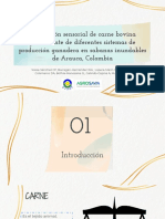 Evaluación sensorial de carne bovina proveniente de diferentes sistemas de producción ganadera en sabanas inundables de Arauca, Colombia 