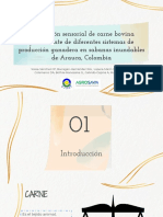 Evaluación Sensorial de Carne Bovina Proveniente de Diferentes Sistemas de Producción Ganadera en Sabanas Inundables de Arauca, Colombia