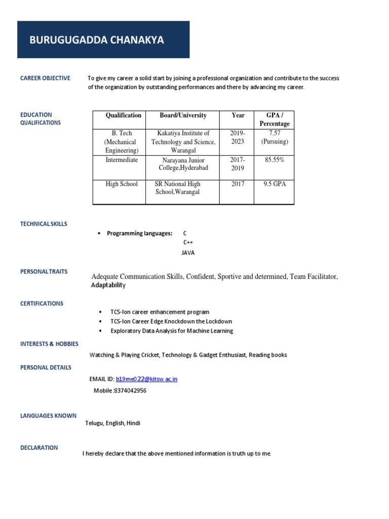 Updated CV | PDF