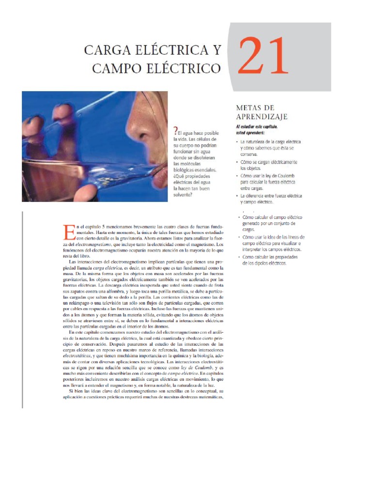 Carga Electrica PDF