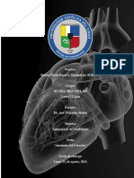 Anatomia Del Corazon. Lab Cardiologia