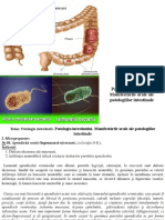 4. Patologia intestinală. Manifestările orale ale patologiilor intestinale.