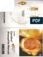 Fruit Fly Reference Manual