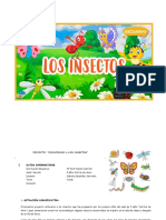 Proyecto Insectos-2