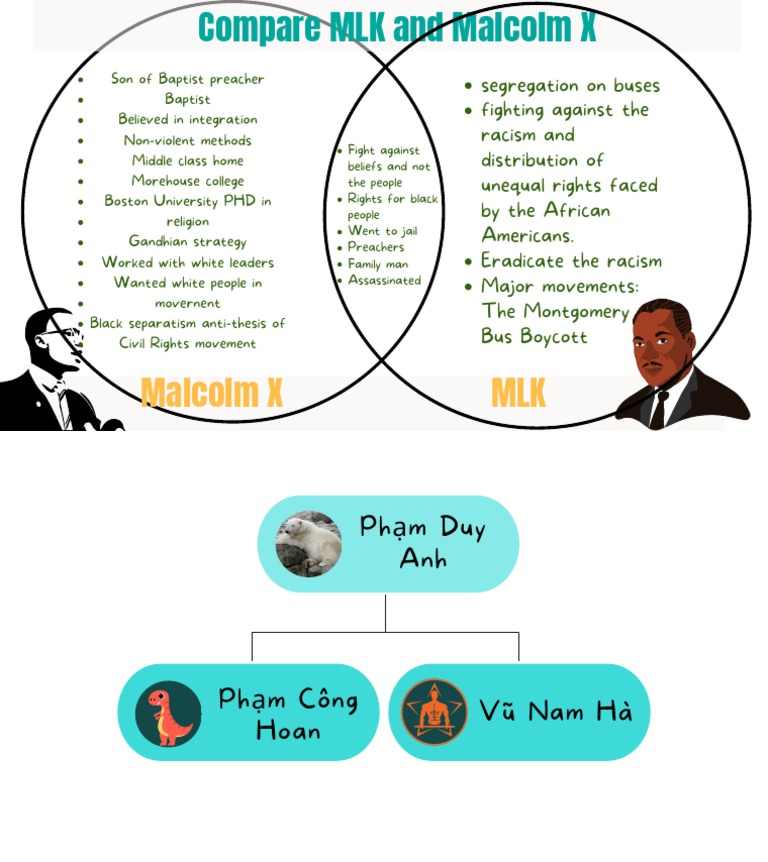 Malcolm X and MLK PDF