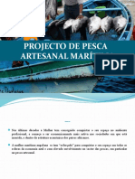 Projecto de Pesca Artesanal Marítima Inip Novo
