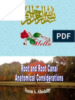 Root Canal Anatomy (Lecture by DR - Hatem Al Hadainy @AmCoFam)