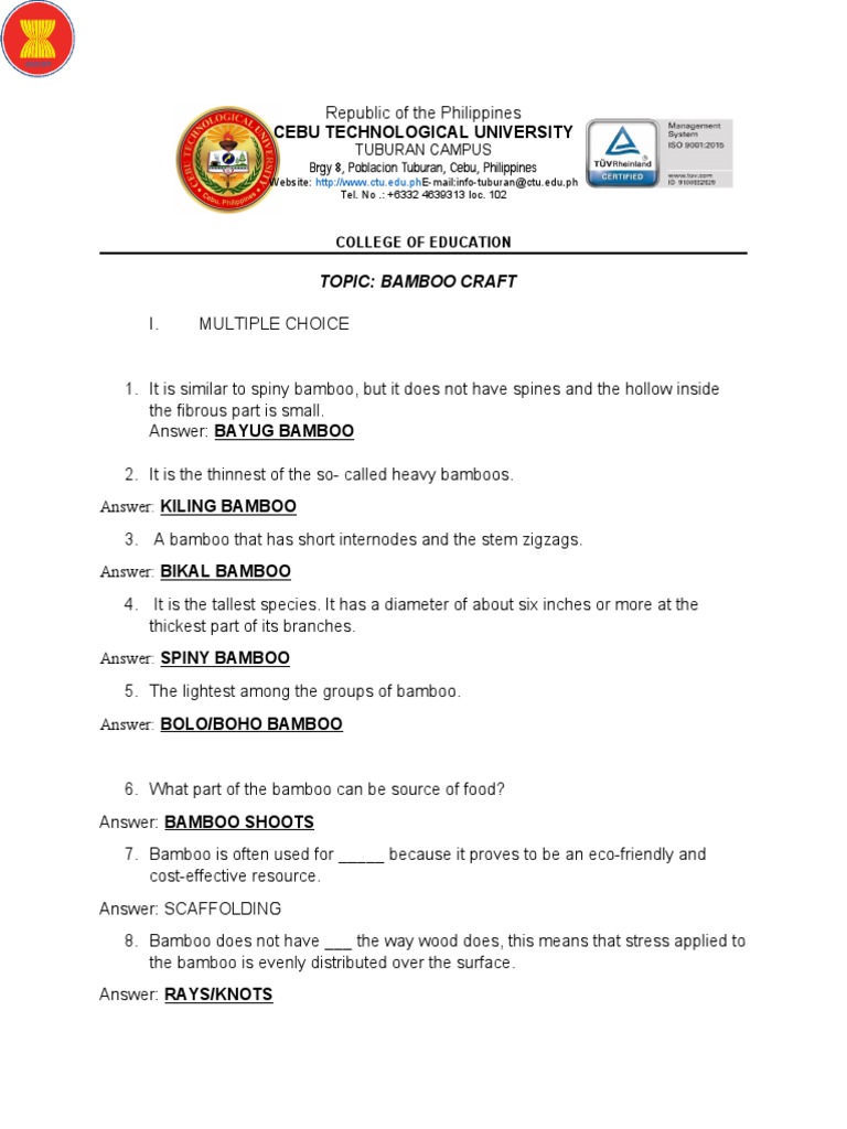 Bamboo Craft Questionnaire PDF