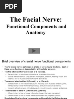 Download Facial Nerve Animation 01 by Verdah Sabih SN59543765 doc pdf