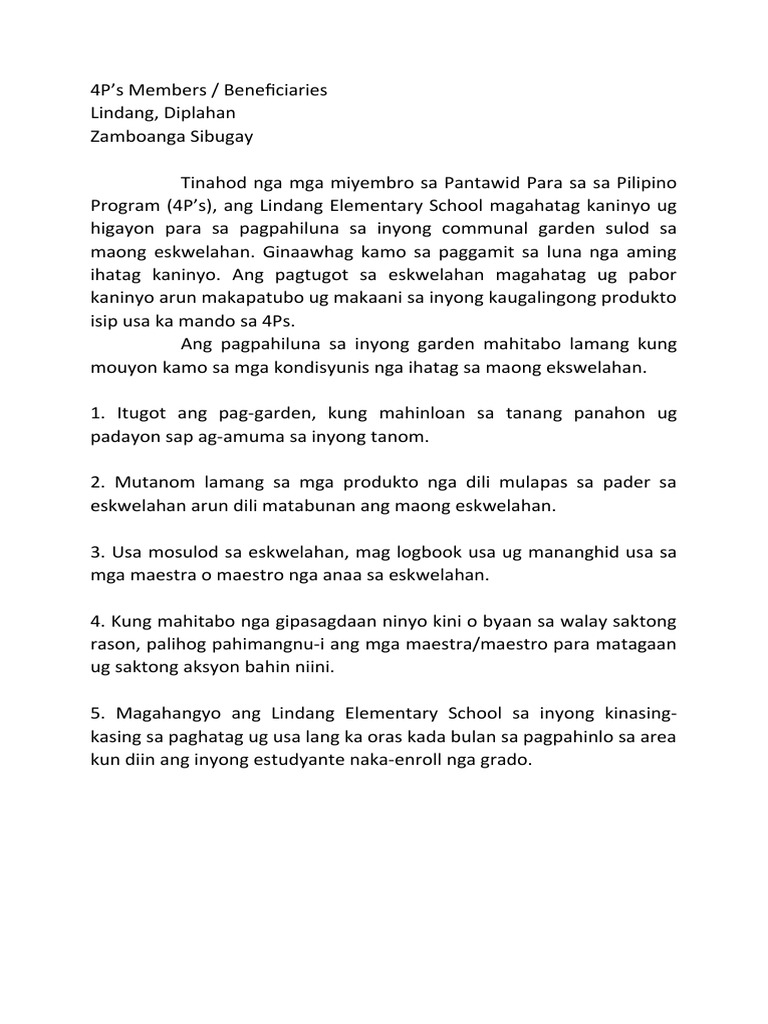 4 Ps | PDF