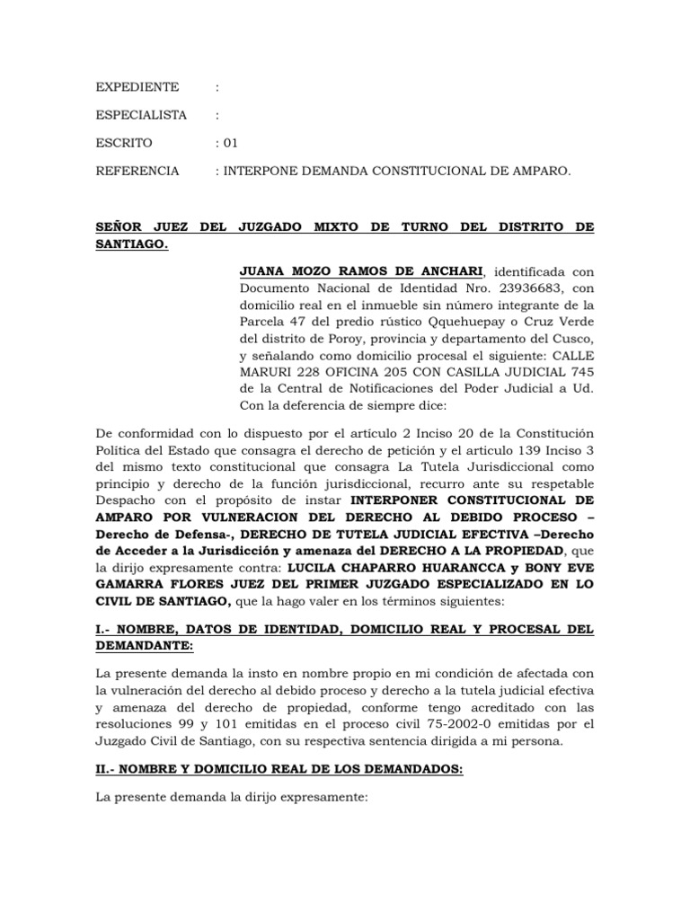 Demanda de Amparo Contra Resoluciones Judiciales | PDF | Jurisdicción ...