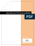 Apostila de Primavera P6 Project R7