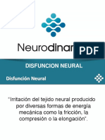 02 Disfuncion Neural PDF