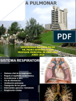 At - Pulmones 19 I