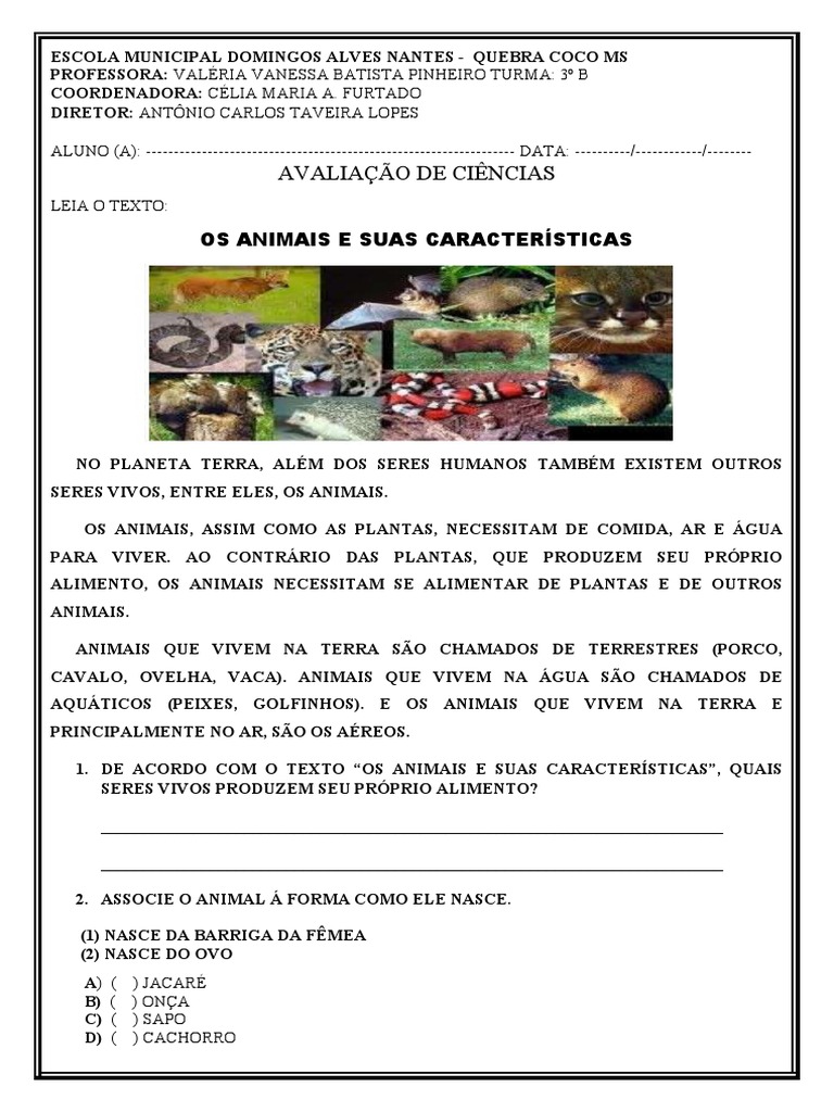 Avaliação de Ciências: Animais 3º Ano | PDF | Ciências e Matemática