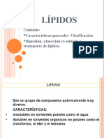 Lipidos: clases, funciones y metabolismo