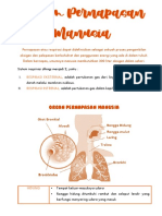 Sistem Pernapasan Manusia