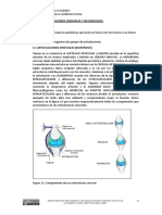 DOCUMENTO 3. Articulaciones Sinoviales y No Sinoviales.