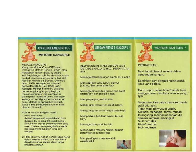 leaflet-pmk-pdf